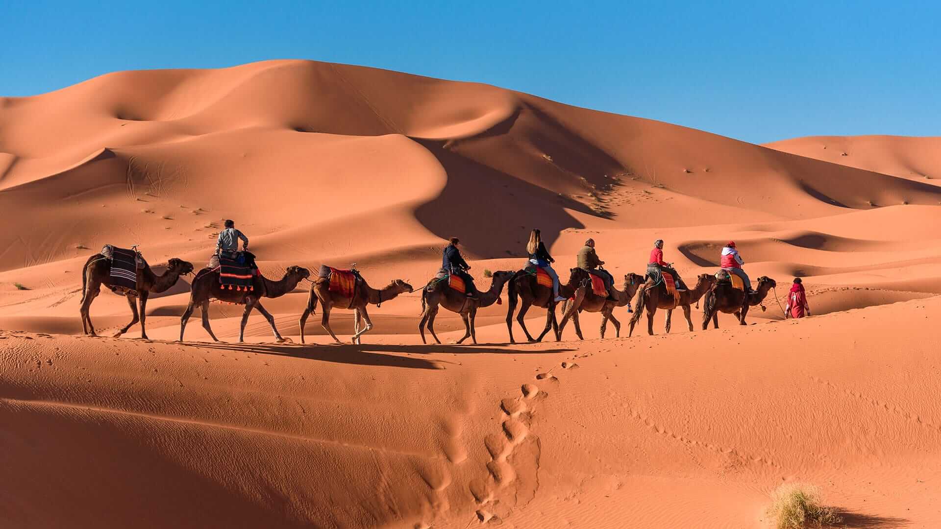 Morocco Tours - Tour in morocco travel - morocco desert tours trips - morocco tours packages - tours from marrakech to desert - fez trips 4x4 - Morocco tours from marrakech - tour in morocco - excursions from marrakech to sahara desert - camel trek - best marrakech desert tours 4x4 - Morocco tours from fez - fes desert excursions - fez desert tours 4x4 - tour from fes to merzouga ending in marrakech - camel trekking - Morocco tours from essaouira to desert - excursion from essaouira to merzouga - best marrakech excursions - trips from Marrakech - camel trek
