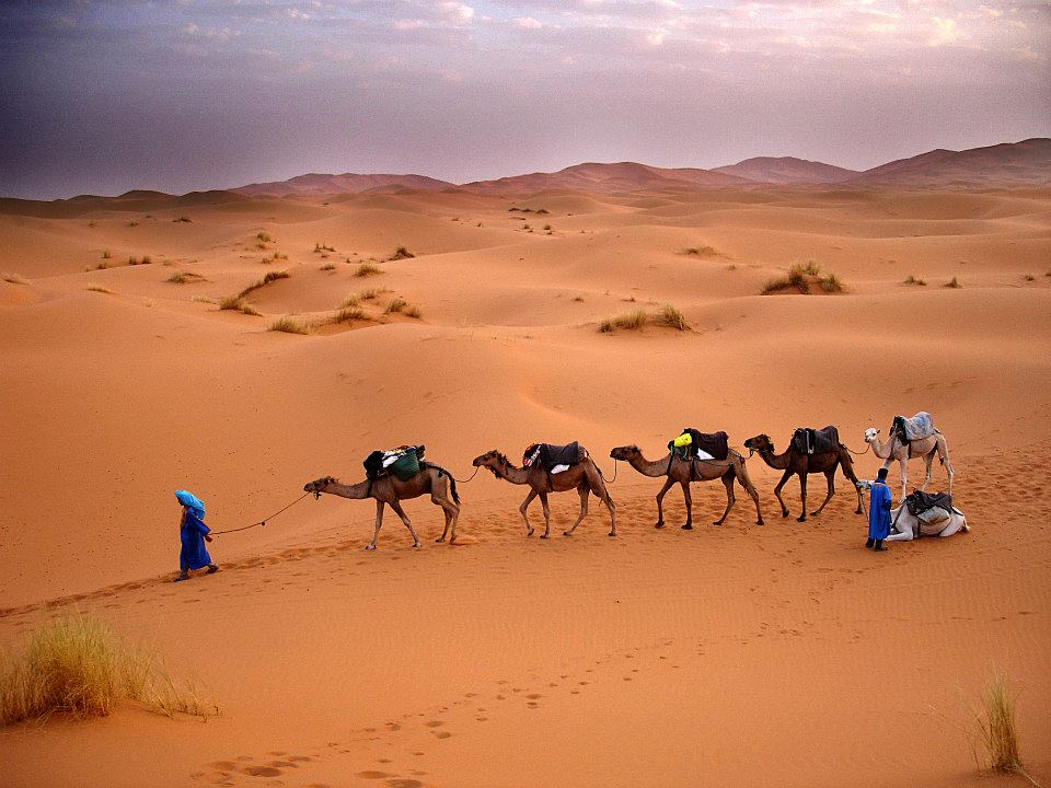 excursión fez desierto marrakech 3 dias